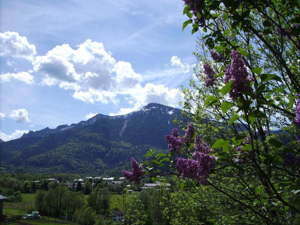 Leitnerhof Hotel Bad Reichenhall Eksteriør billede