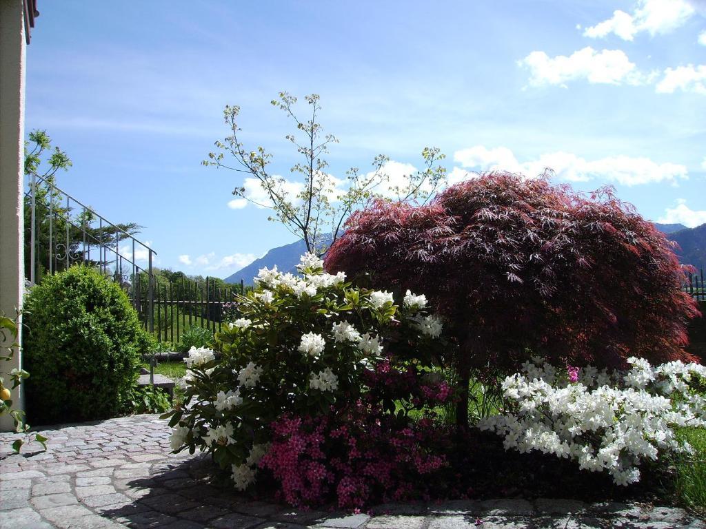 Leitnerhof Hotel Bad Reichenhall Eksteriør billede