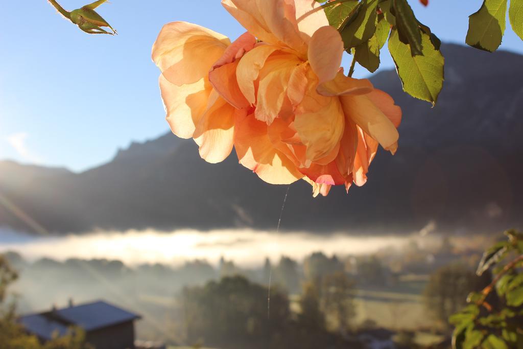 Leitnerhof Hotel Bad Reichenhall Eksteriør billede